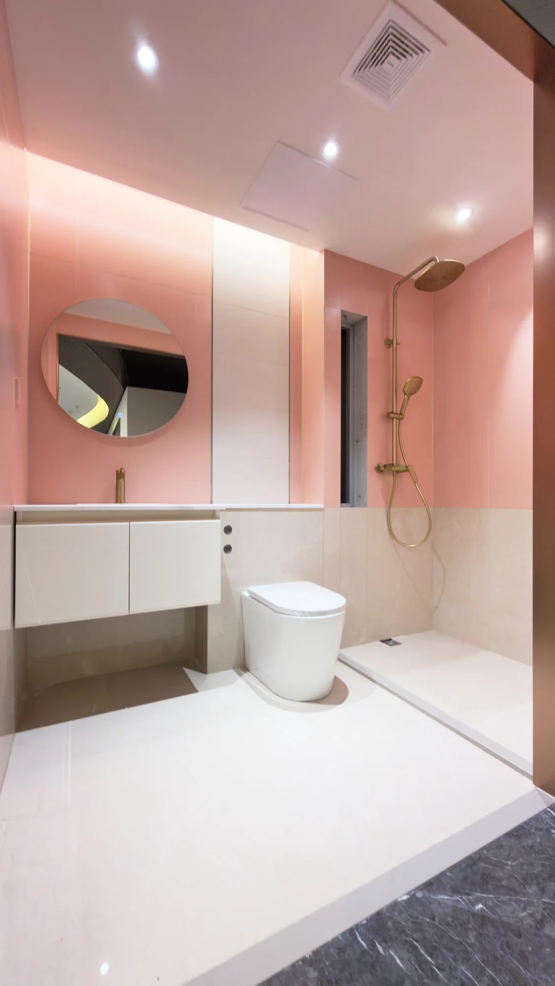 Accommodation bathroom sample with pink wall finish, vanity, toilet and shower