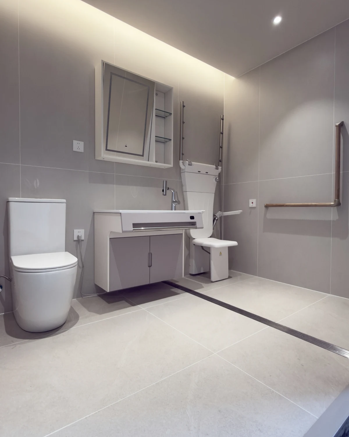 Client-supplied accessible bathroom sample configuration with visible support features